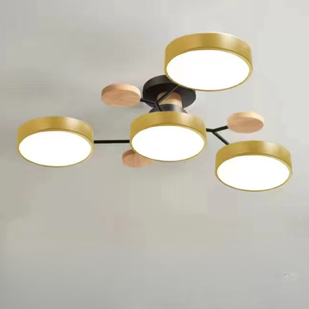 Ceiling Light Contemporary LED Flush Mount Chandelier