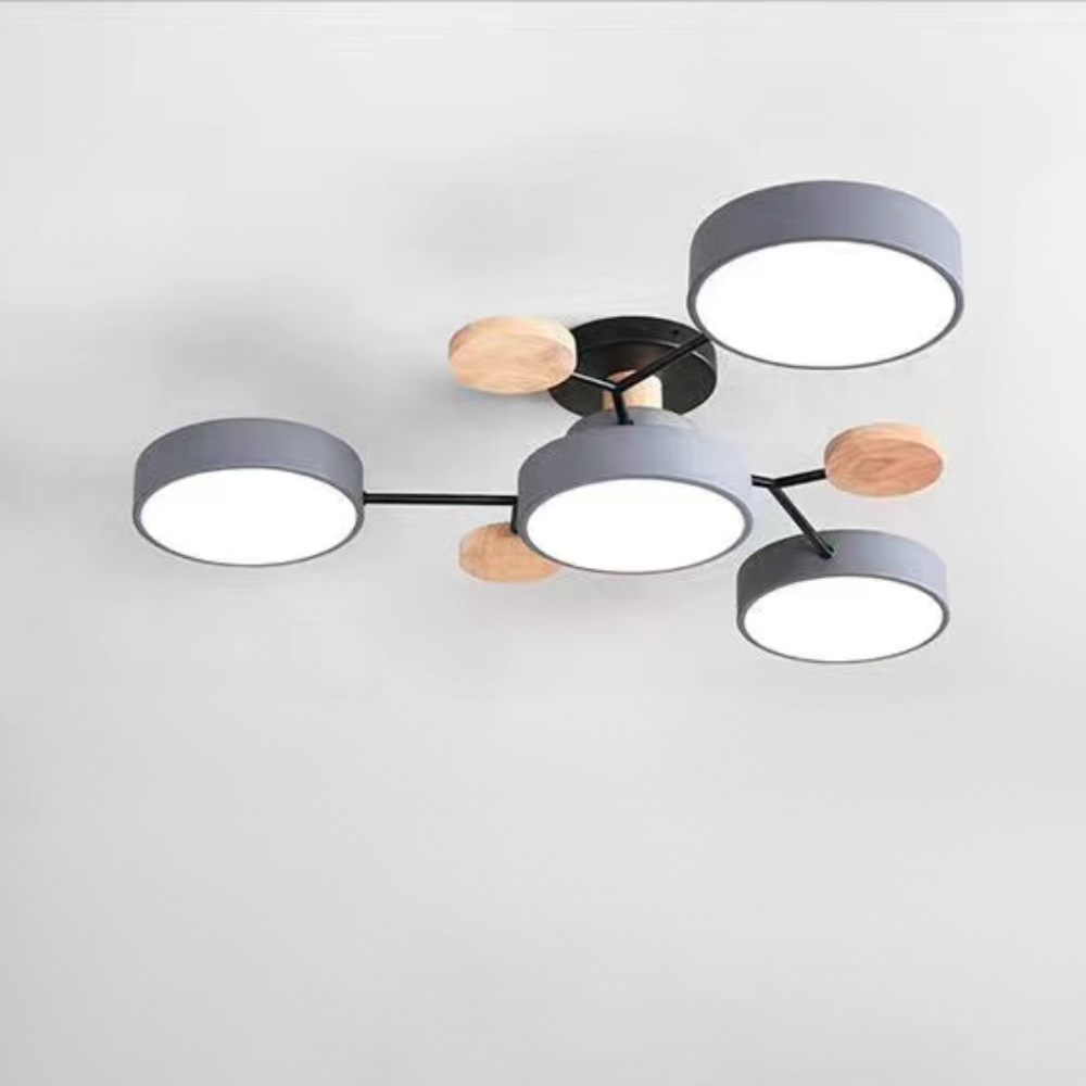 Ceiling Light Contemporary LED Flush Mount Chandelier
