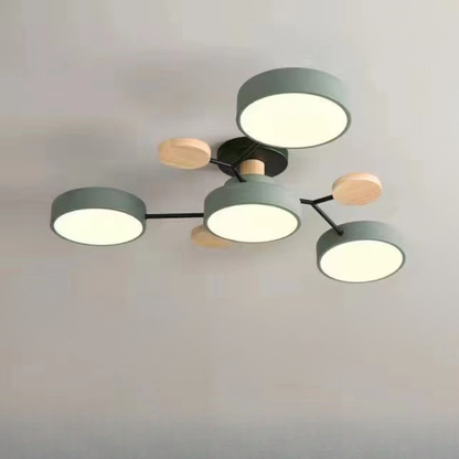 Ceiling Light Contemporary LED Flush Mount Chandelier