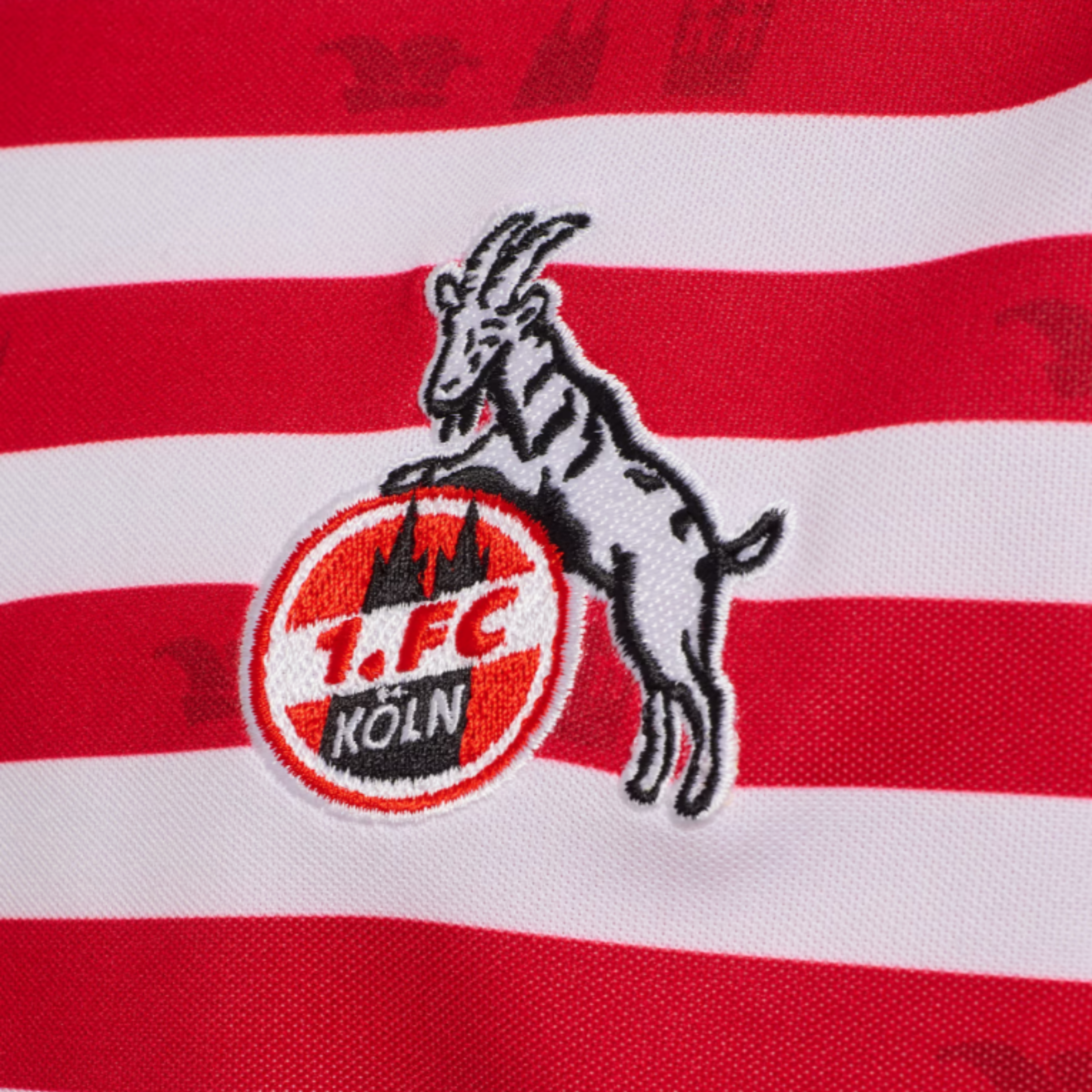 Maillot carnaval manches longues hommes 1. FC KÖLN 25 / 26