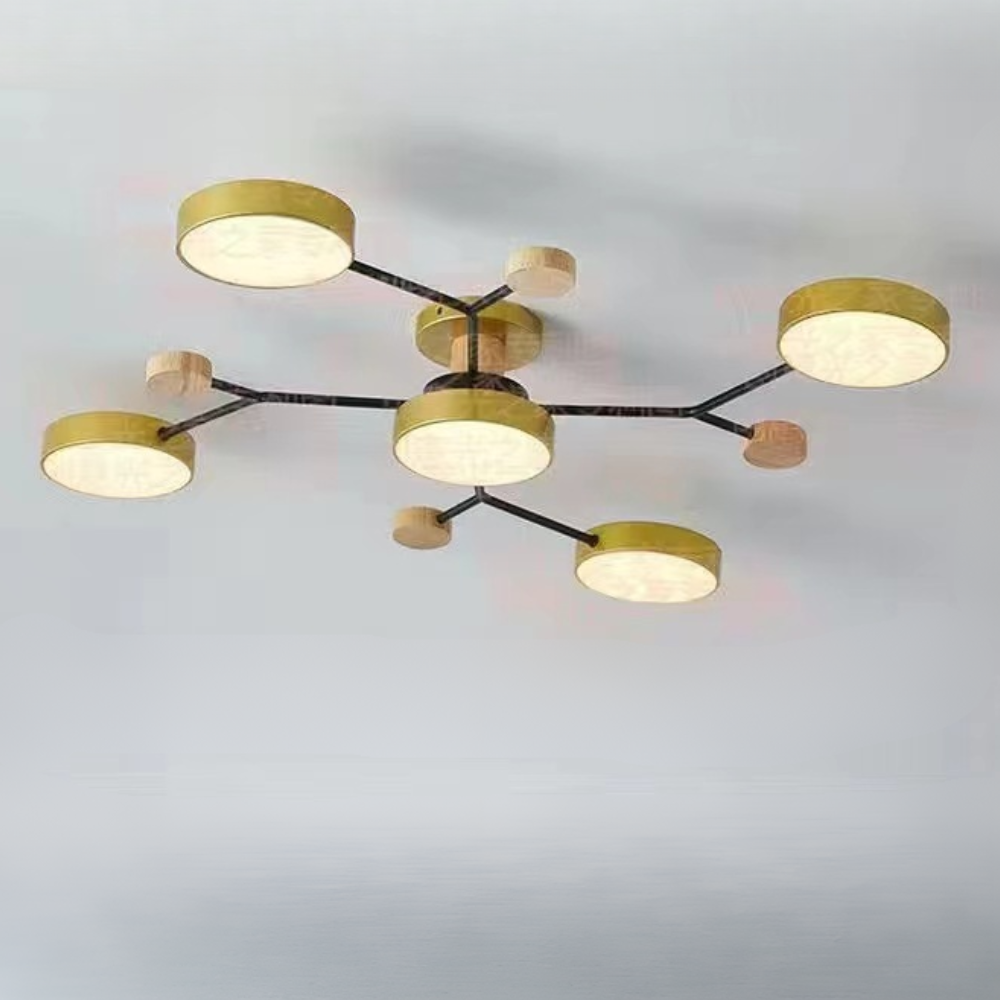 Ceiling Light Contemporary LED Flush Mount Chandelier