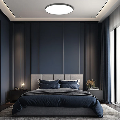 Ceiling Light Round LED Contemporary Flush Fixture