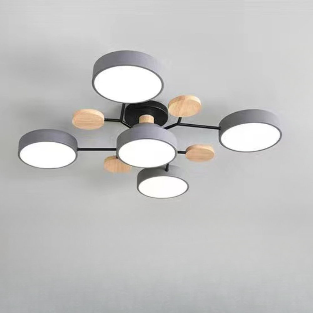 Ceiling Light Contemporary LED Flush Mount Chandelier