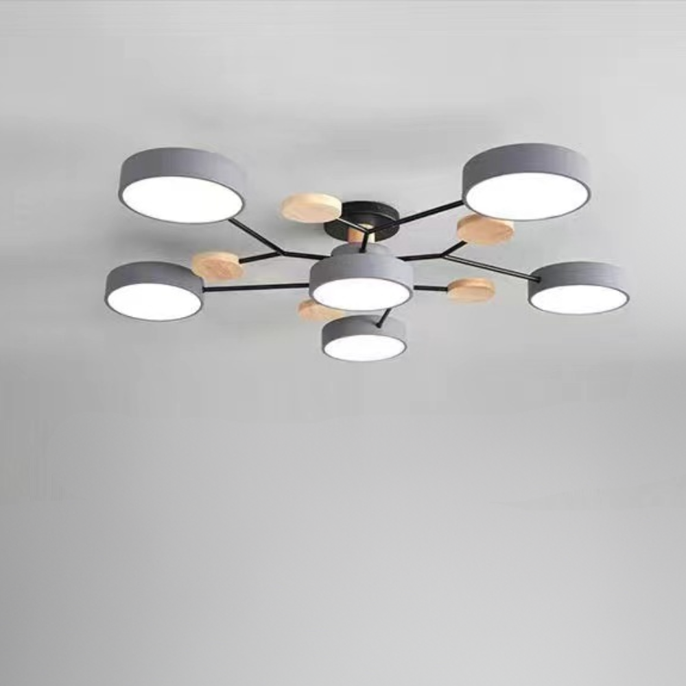 Ceiling Light Contemporary LED Flush Mount Chandelier