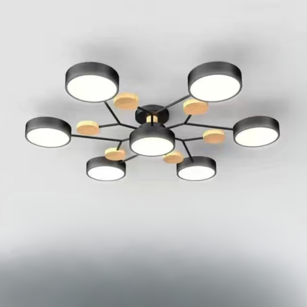 Ceiling Light Contemporary LED Flush Mount Chandelier