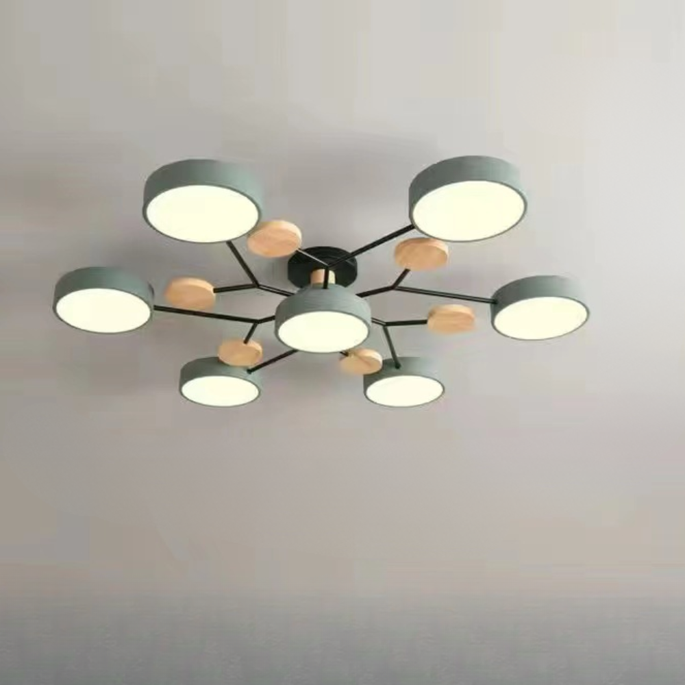 Ceiling Light Contemporary LED Flush Mount Chandelier