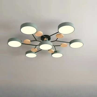 Ceiling Light Contemporary LED Flush Mount Chandelier
