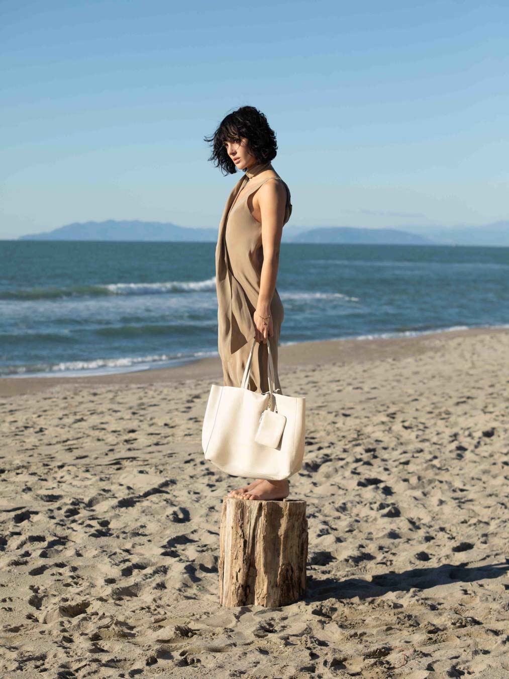 The Carryall Leather Tote