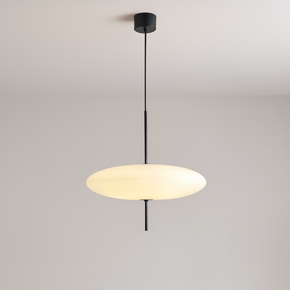 Stylish Oval Glass LED Pendant Light | Modern Hanging Lamp for Home
