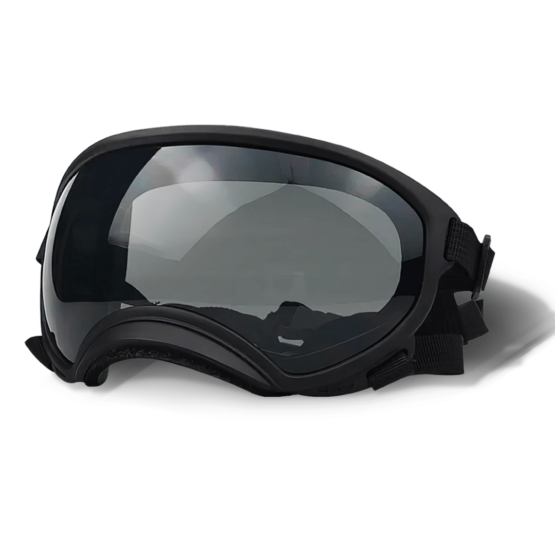 Lunettes de protection imperméables pour chien avec protection UV et sangles réglables