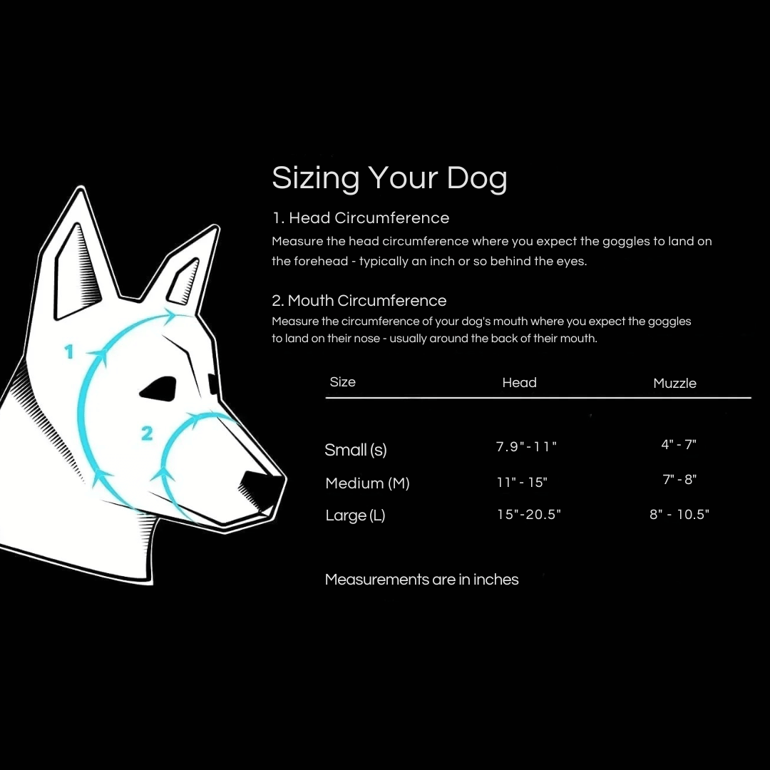 Lunettes de protection imperméables pour chien avec protection UV et sangles réglables
