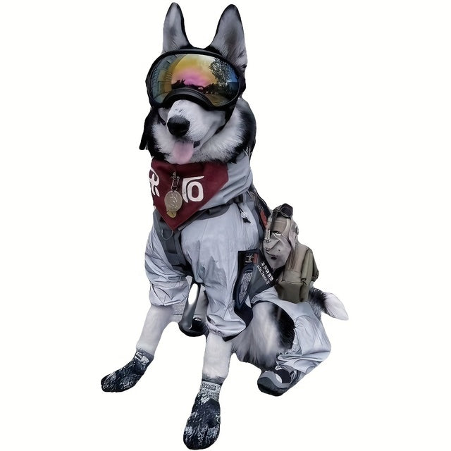 Lunettes de protection imperméables pour chien avec protection UV et sangles réglables