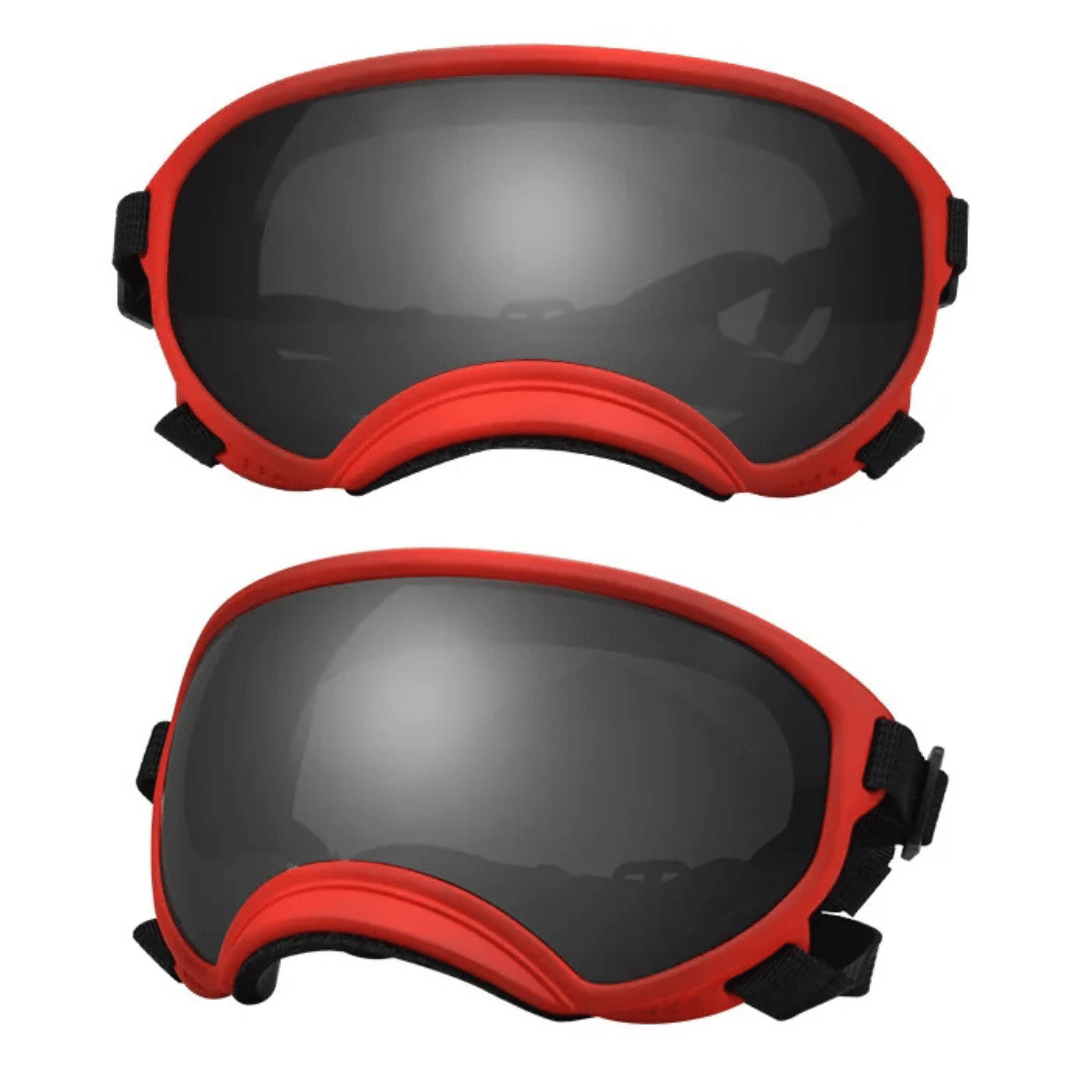 Lunettes de protection imperméables pour chien avec protection UV et sangles réglables