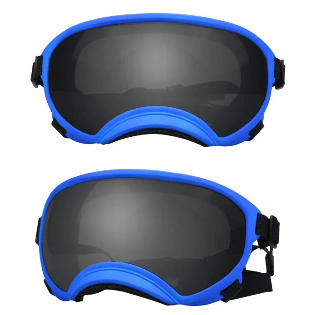 Lunettes de protection imperméables pour chien avec protection UV et sangles réglables