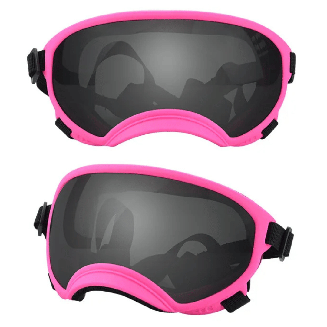 Lunettes de protection imperméables pour chien avec protection UV et sangles réglables