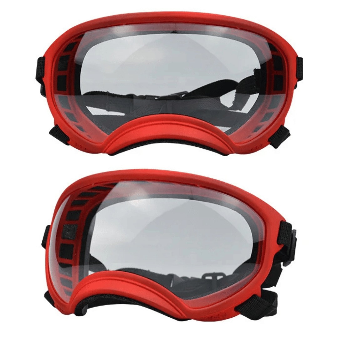 Lunettes de protection imperméables pour chien avec protection UV et sangles réglables