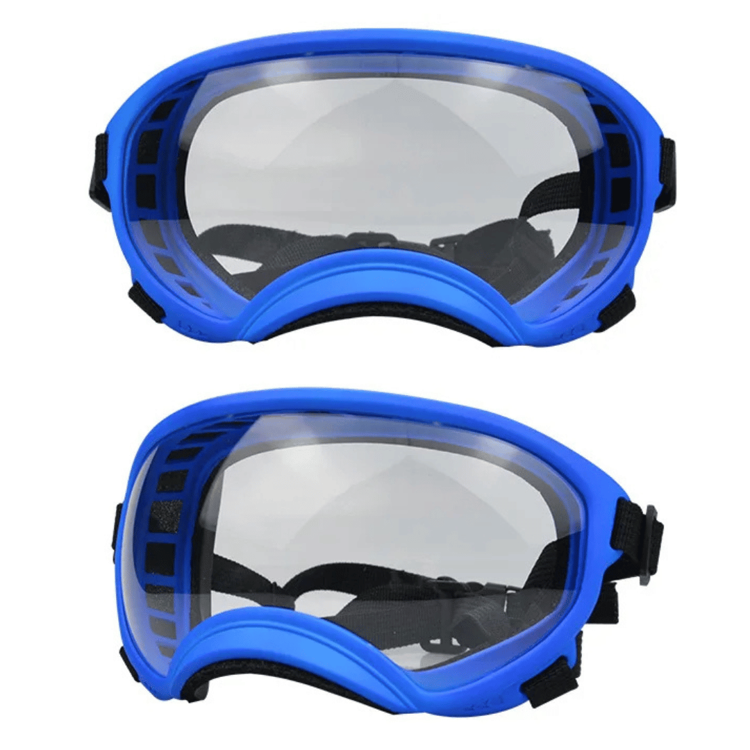 Lunettes de protection imperméables pour chien avec protection UV et sangles réglables