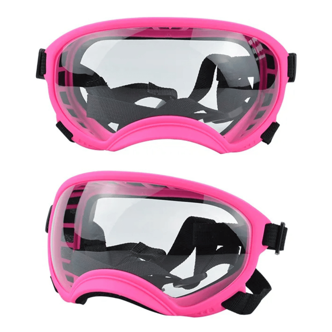 Lunettes de protection imperméables pour chien avec protection UV et sangles réglables