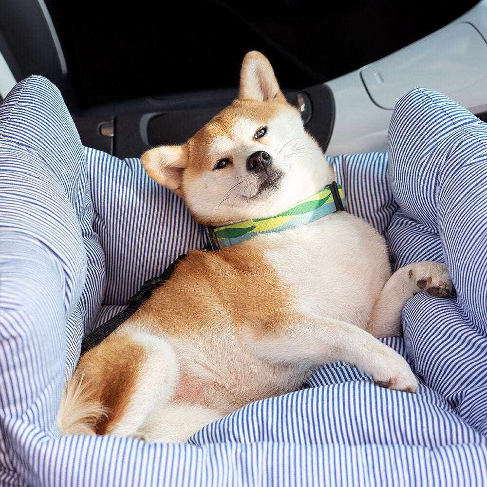 Lit de voyage et siège auto 3-en-1 pour chien avec sangle de transport