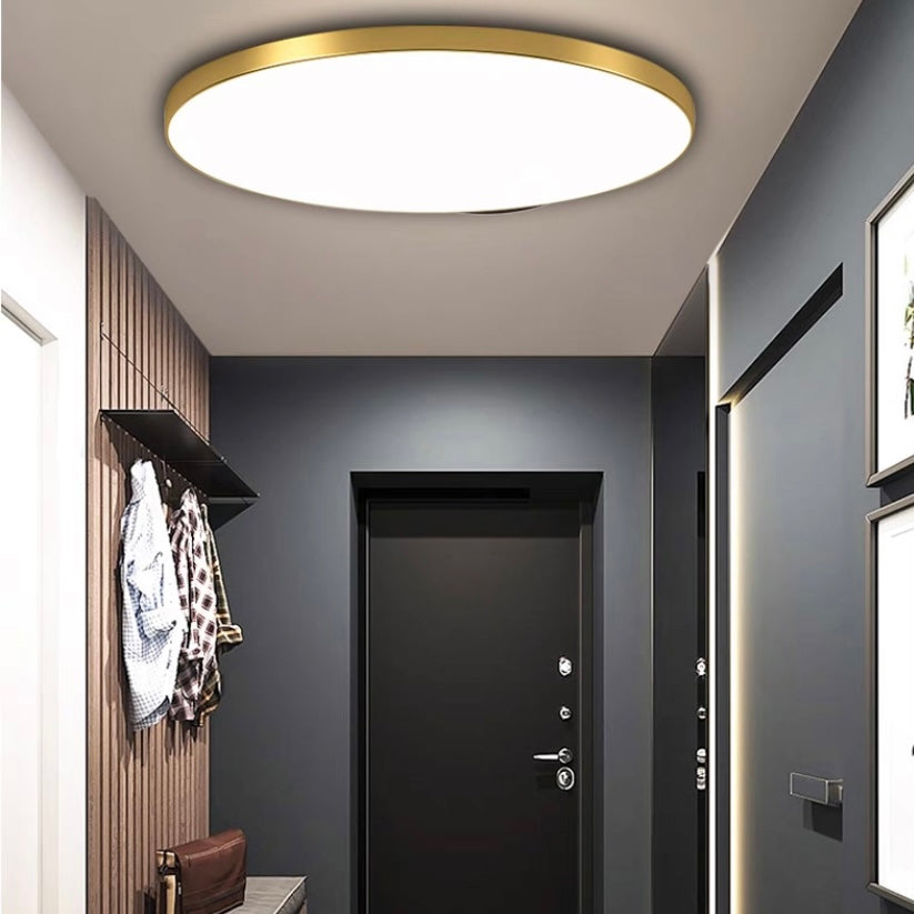 Ceiling Light Round LED Contemporary Flush Fixture