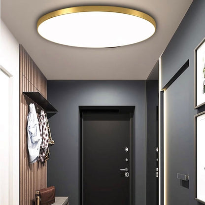 Ceiling Light Round LED Contemporary Flush Fixture
