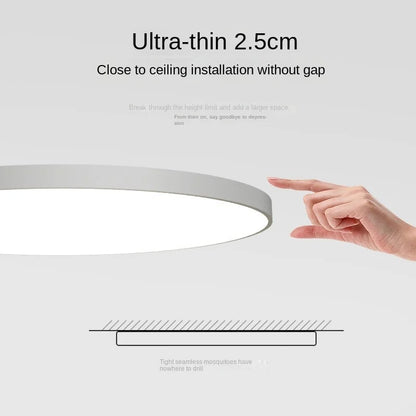 Ceiling Light Round LED Contemporary Flush Fixture