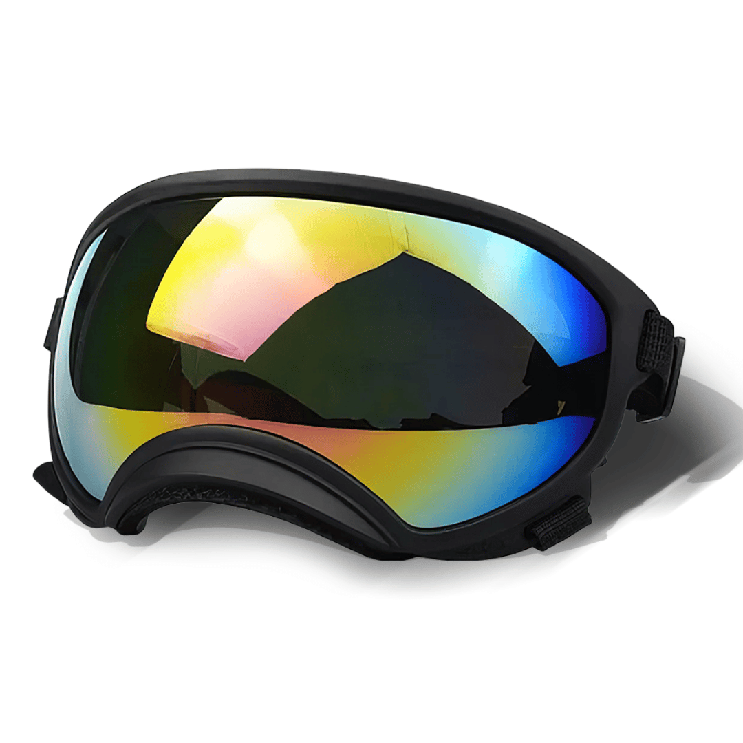 Lunettes de protection imperméables pour chien avec protection UV et sangles réglables