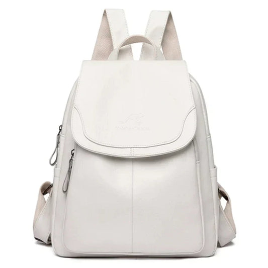 Chic and Secure Organised Travel Anti-Theft Backpack for Trendy Women