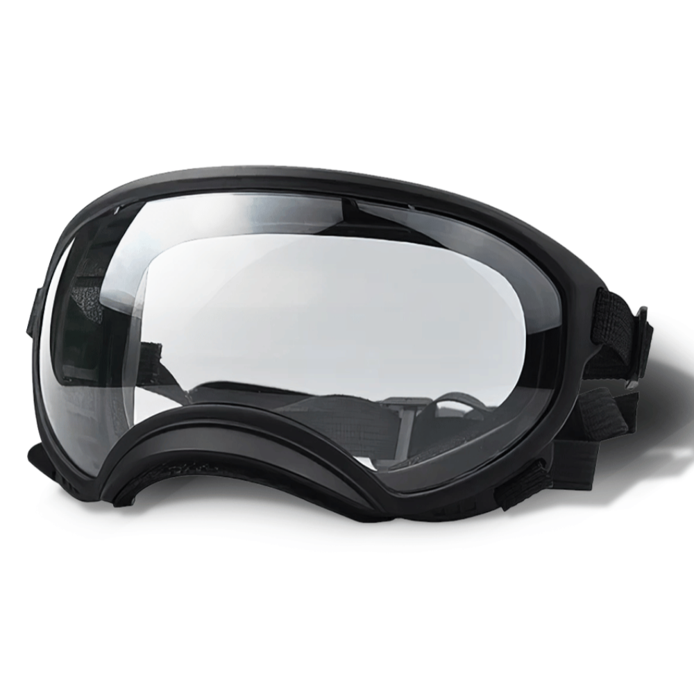 Lunettes de protection imperméables pour chien avec protection UV et sangles réglables