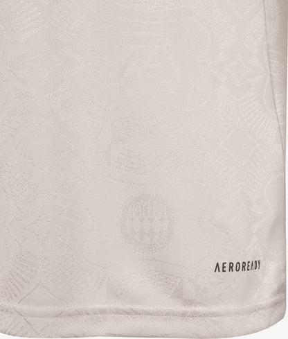 Bayern München Trikot 2025/26 Commemorative Special Edition