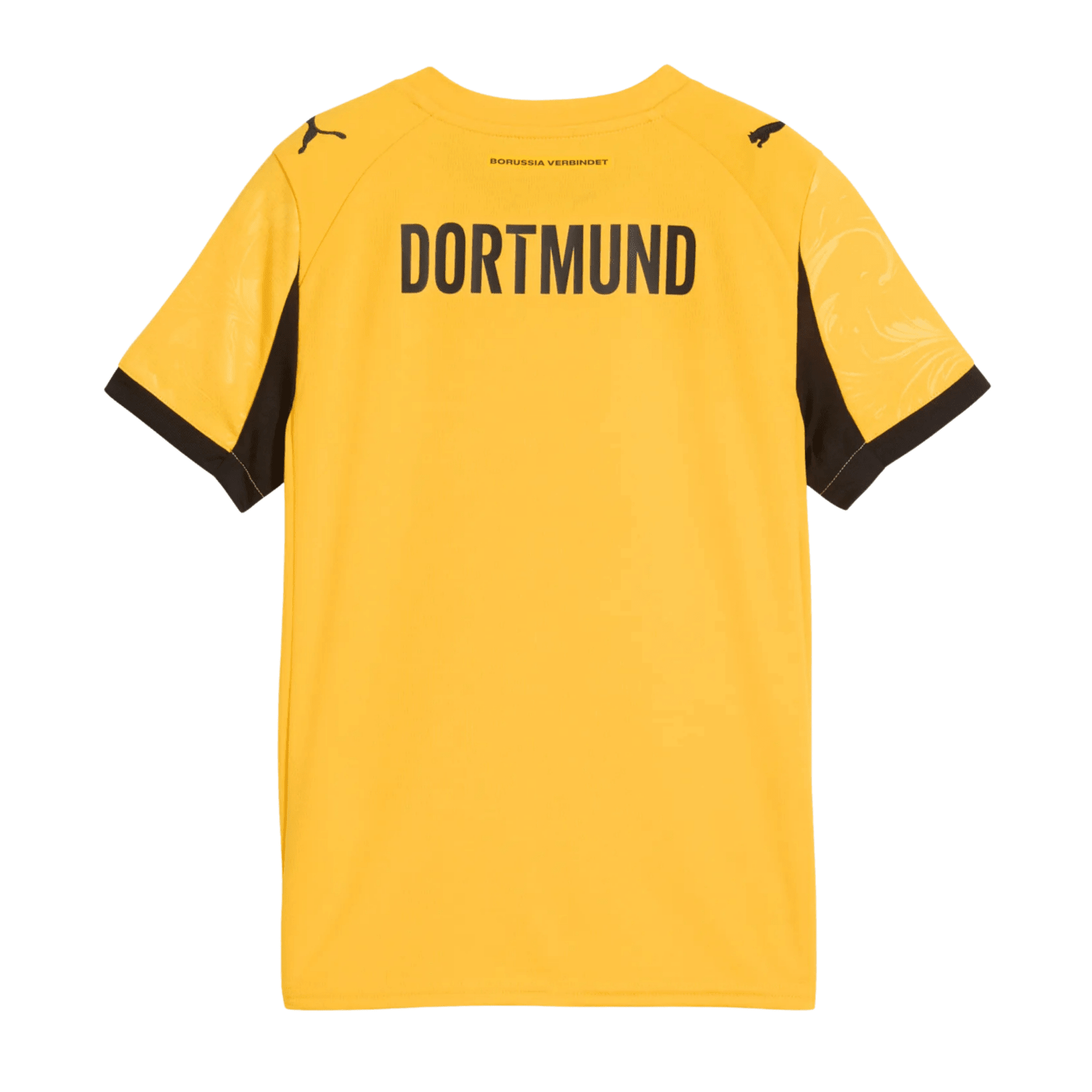Maillot Authentique BVB BORUSSIA DORTMUND Coupe Hommes 25 / 26