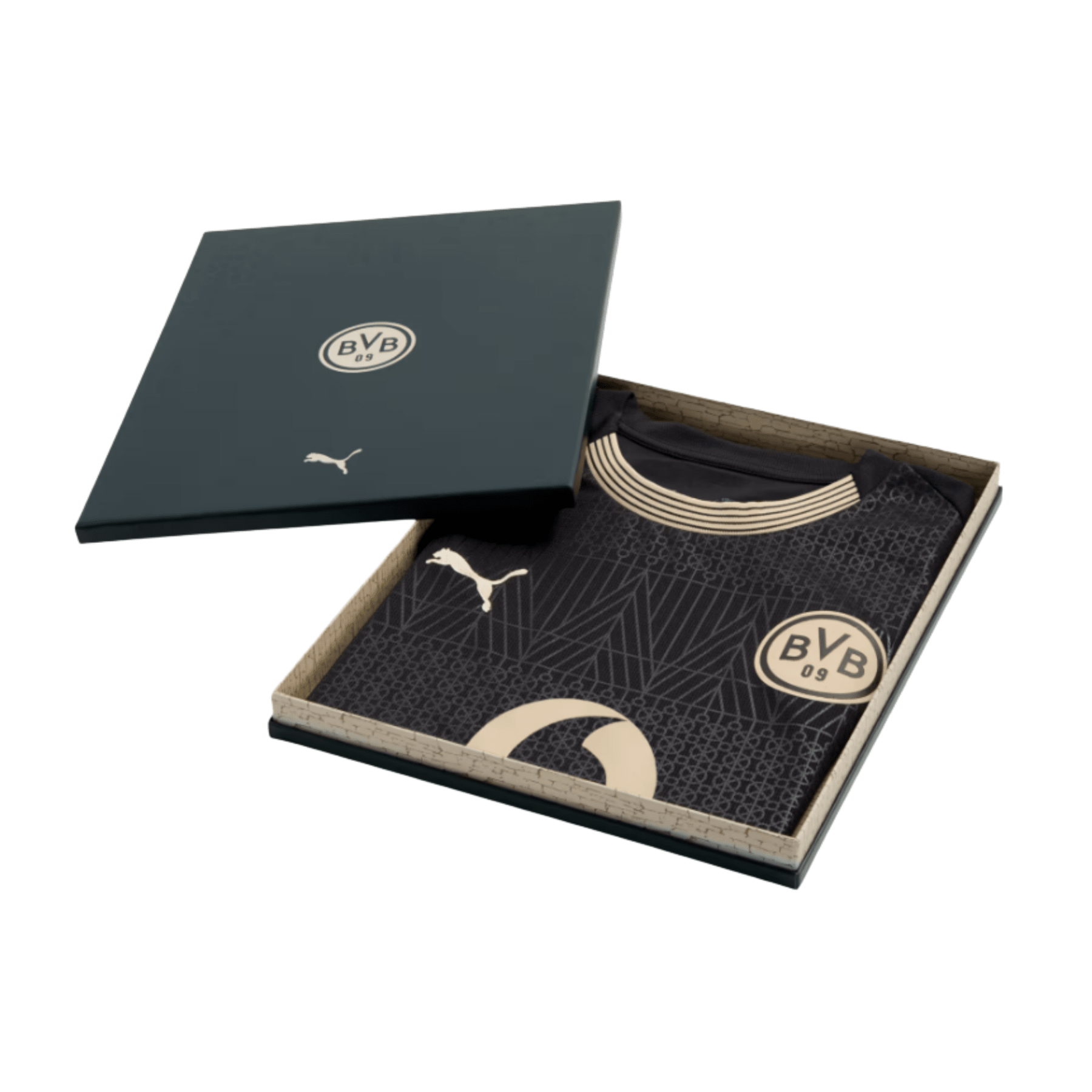 Maillot Spécial BVB BORUSSIA DORTMUND Homme 25 / 26