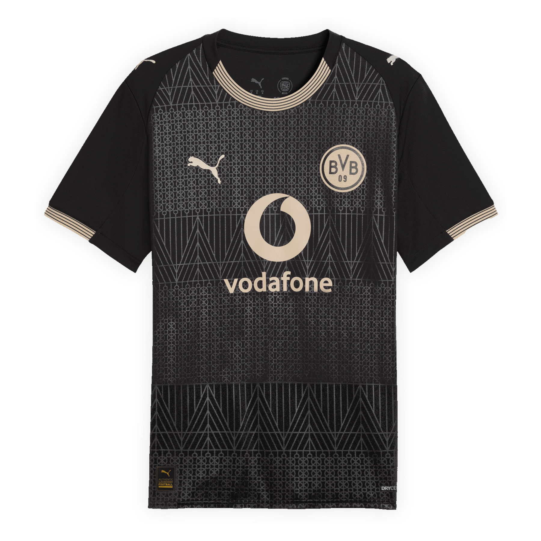 Maillot Spécial BVB BORUSSIA DORTMUND Homme 25 / 26
