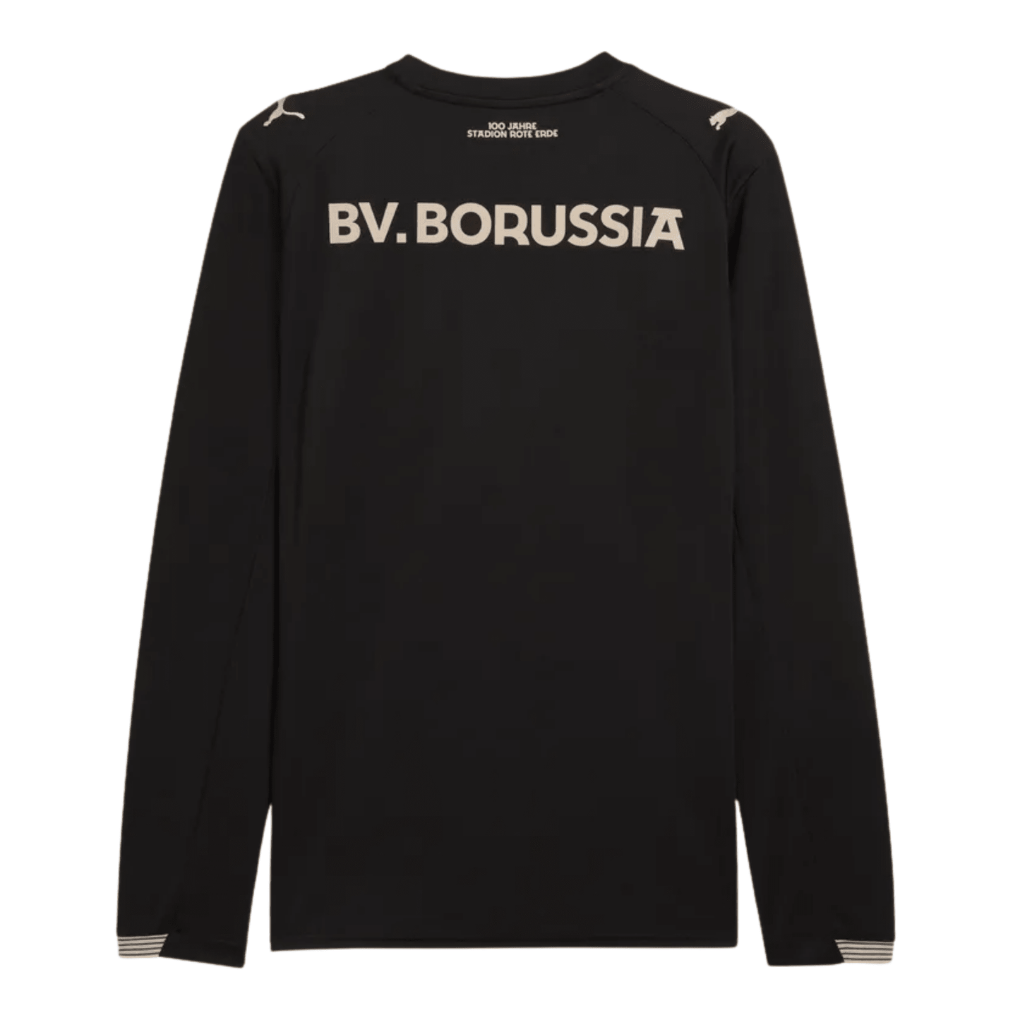 BVB BORUSSIA DORTMUND Special Jersey Men's Long Sleeve 25 / 26