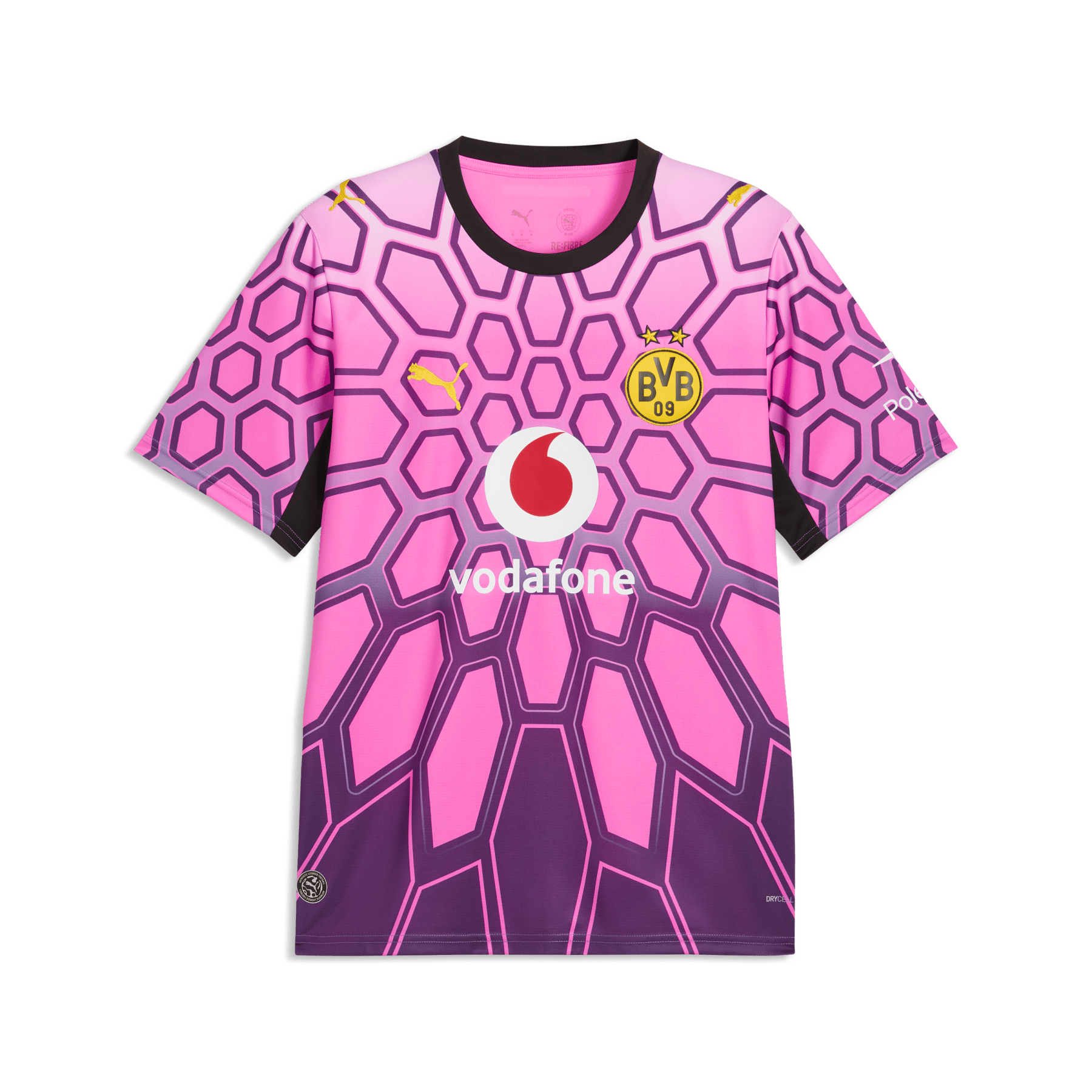 Maillot Gardien BVB BORUSSIA DORTMUND Hommes Violet 26 / 27