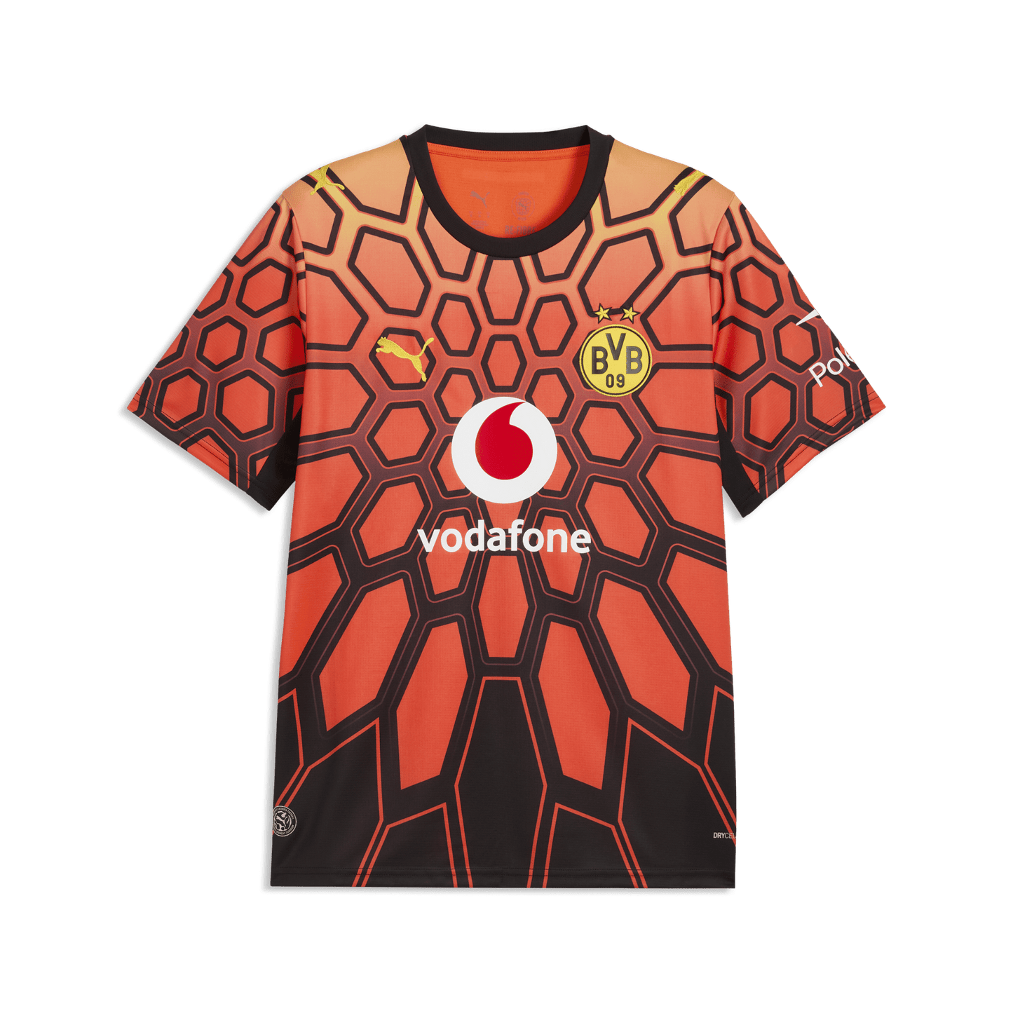 BVB BORUSSIA DORTMUND Goalkeeper Jersey Men Orange 26 / 27