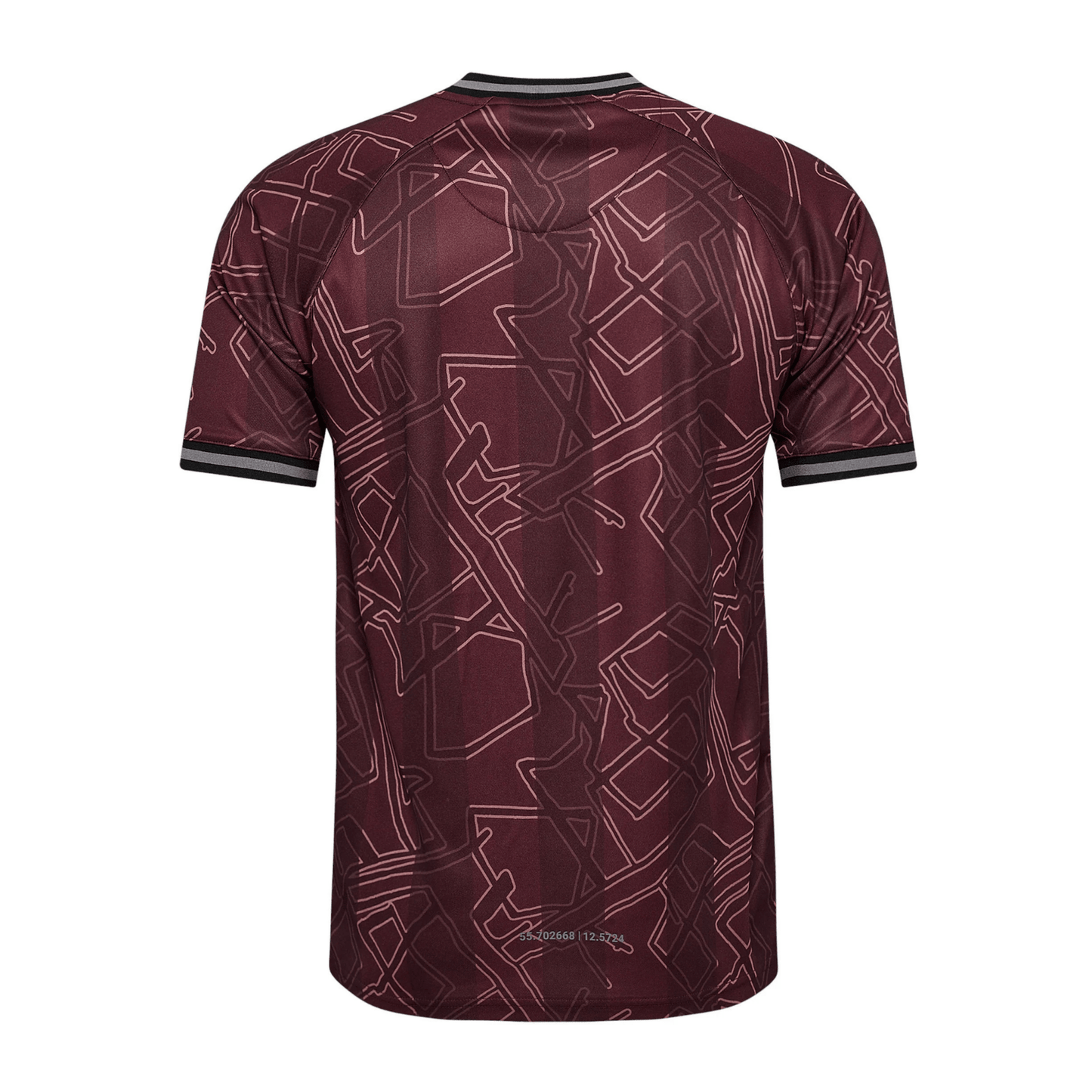 DBU DENMARK X HALO Jersey Special Men 2024