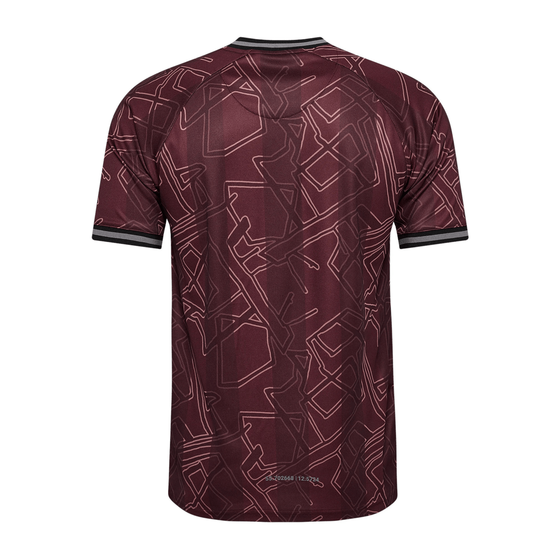 Maillot spécial DBU DANEMARK X HALO Homme 2024