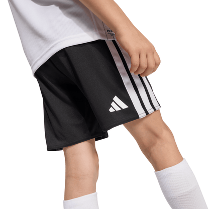 DFB GERMANY Mini Kit Home WM 2026