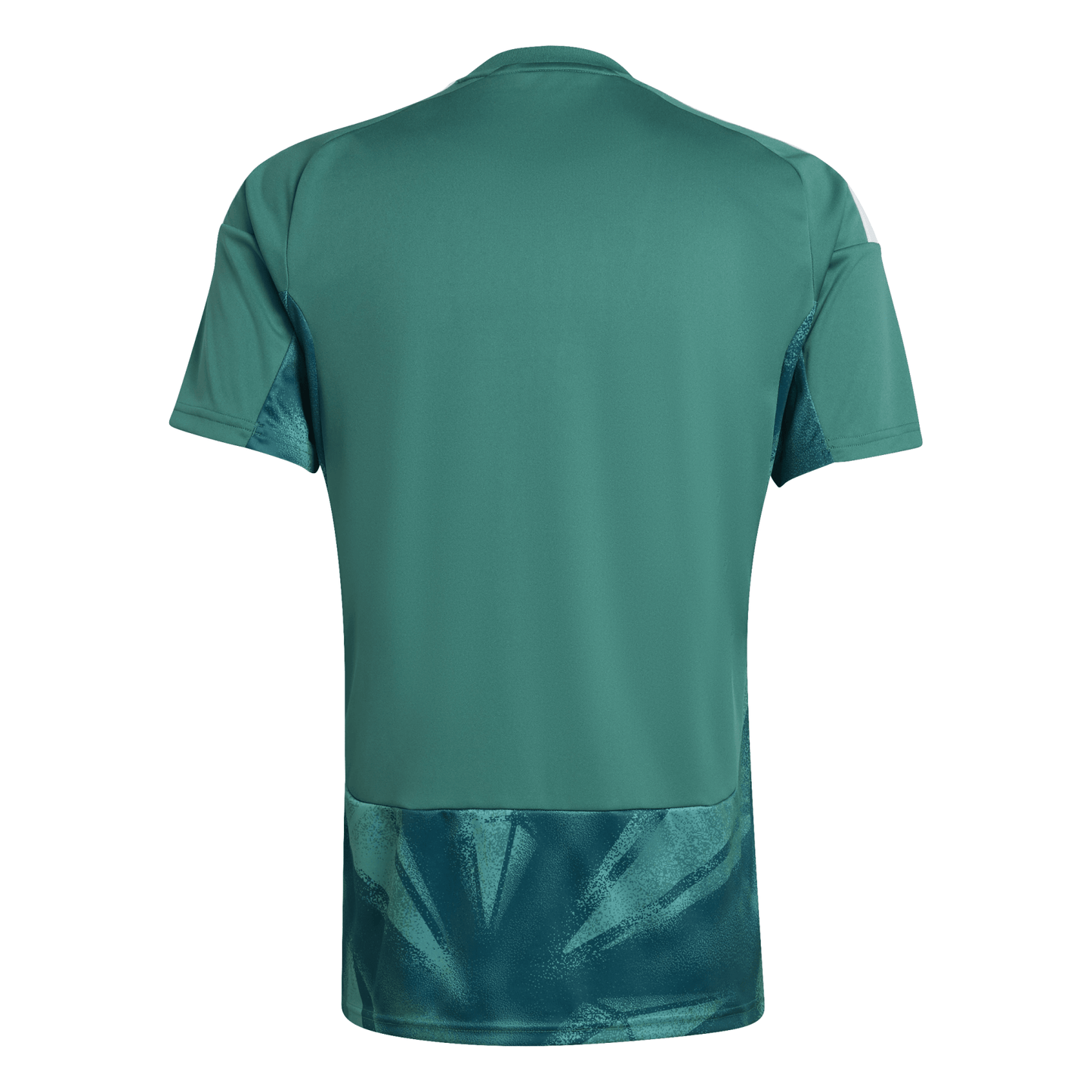 DFB GERMANY Goalkeeper Jersey Men's WM 2026