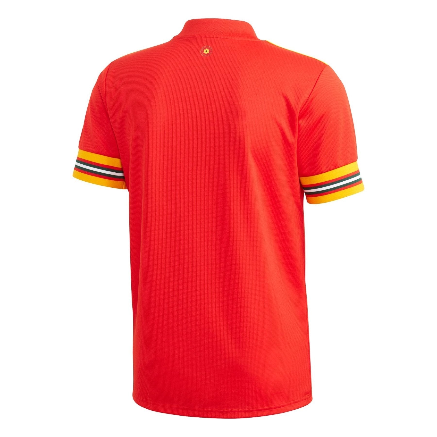 Maillot domicile FAW PAYS DE GALLES Homme EURO 2020