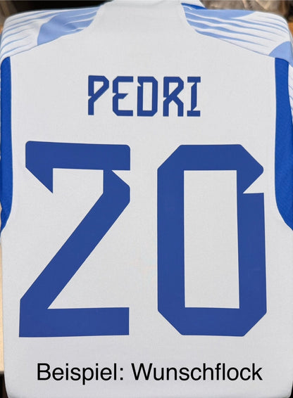 FEF SPAIN AUTHENTIC Away Jersey Men WM 2022