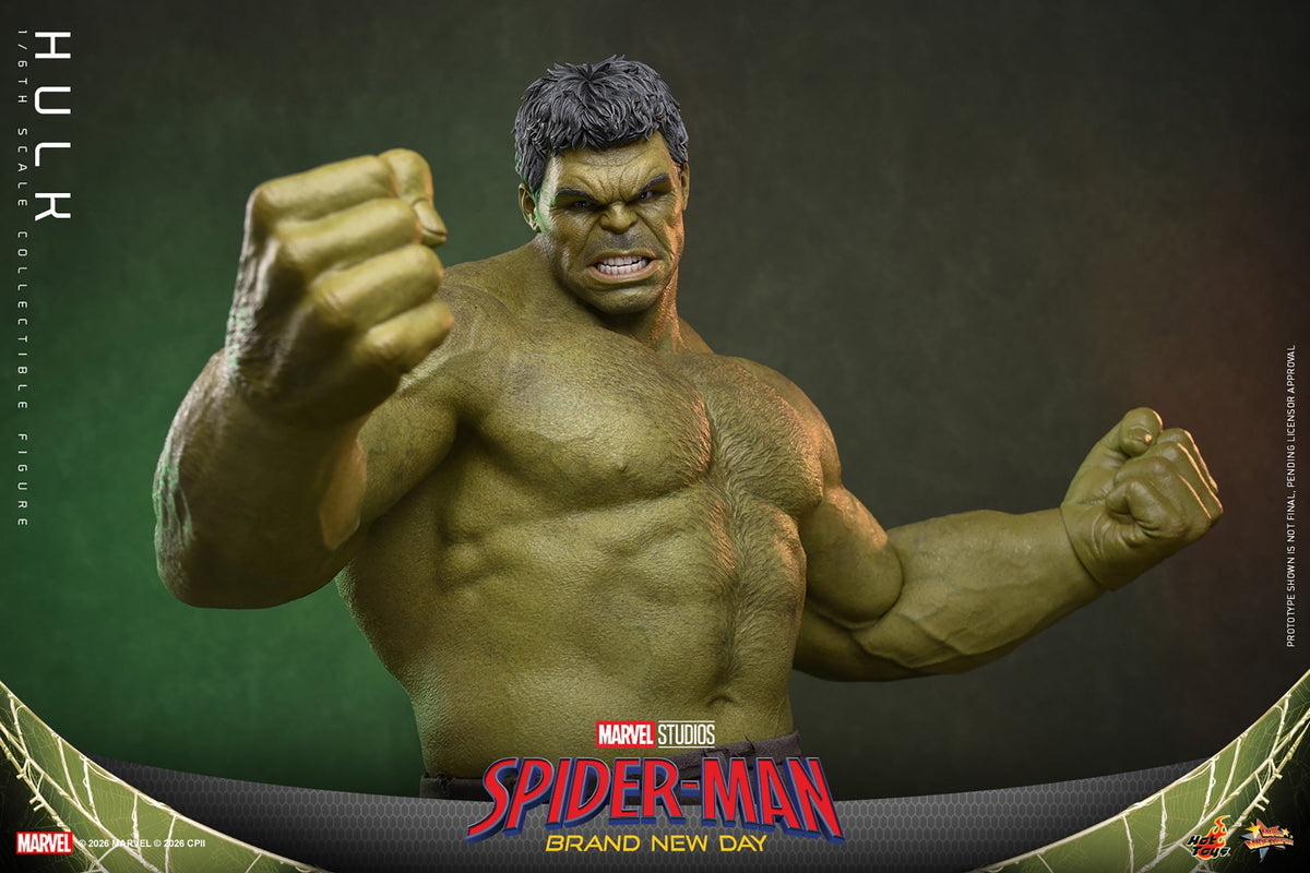 Hulk (Spider-Man: Brand New Day) 1/6 Scale Action Figure - Hot Toys