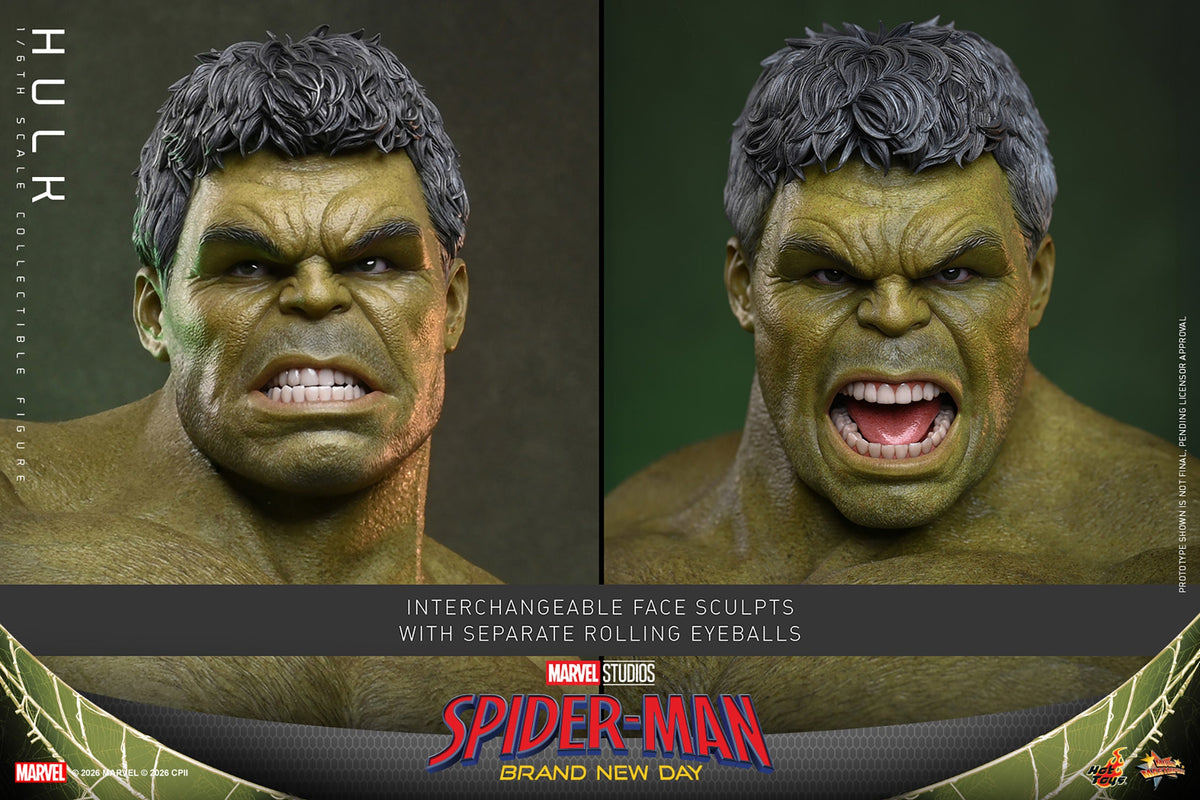 Hulk (Spider-Man: Brand New Day) 1/6 Scale Action Figure - Hot Toys