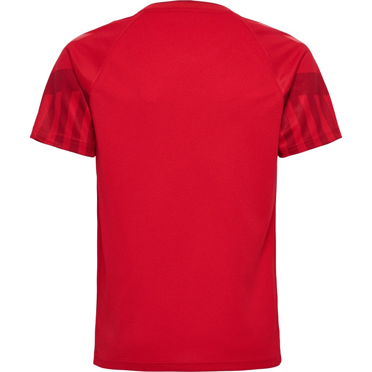 Maillot domicile DANEMARK Enfants Coupe du Monde 2022