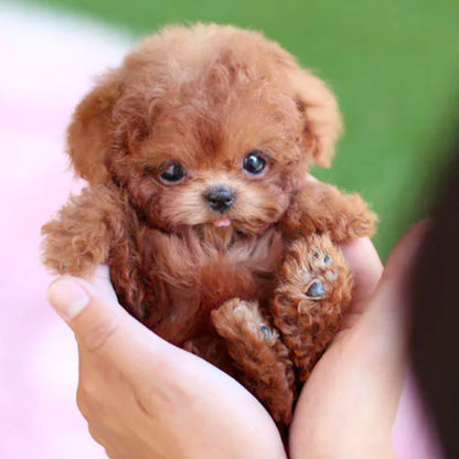 Nicoo Robot Puppy Interactive Toy Realistic Lifelike Dog