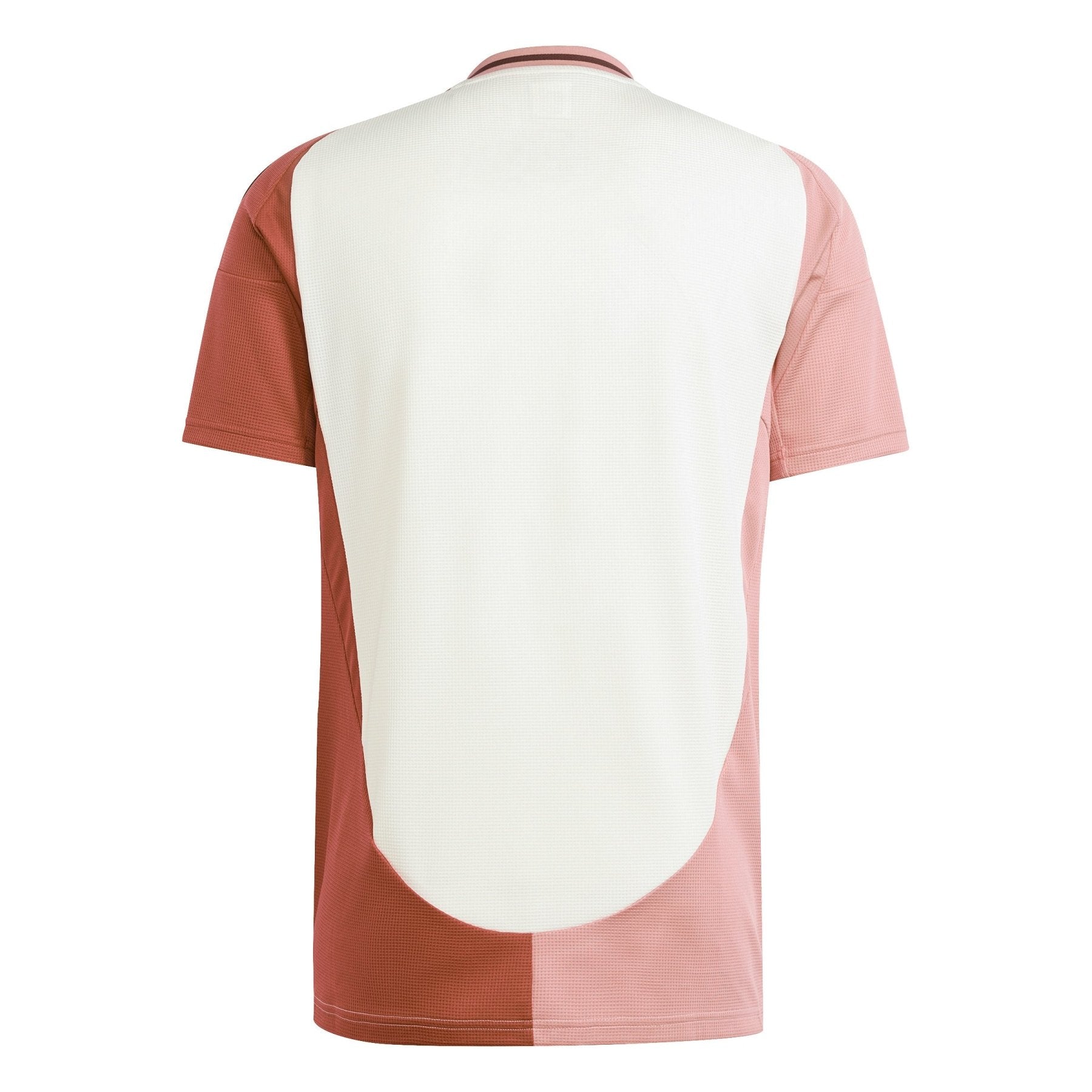3e maillot OL OLYMPIQUE LYON Homme 24 / 25