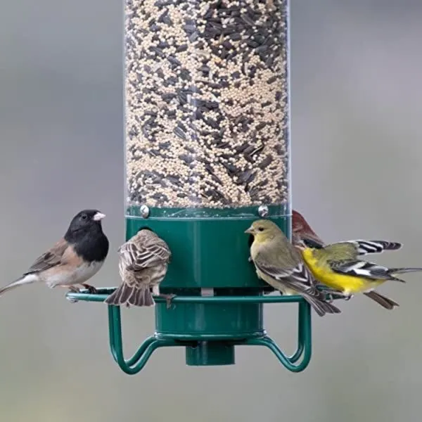 Squirrel-proof bird feeder | Spinning perch deterrent