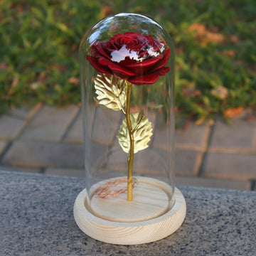 Eternal Rose Enclosed Flower Glass Refined Gift