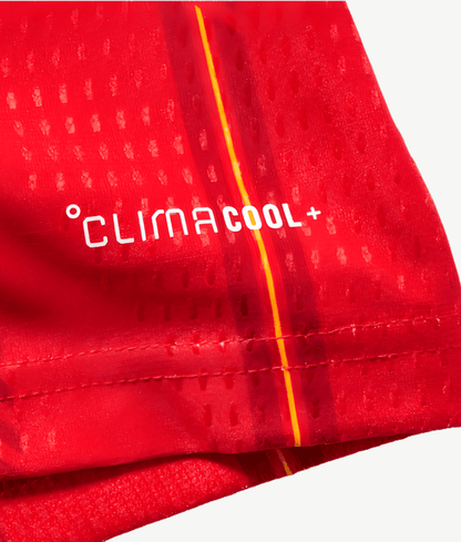Spanien Trikot WM 2026